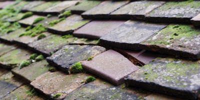 Lichfield roof repair costs
